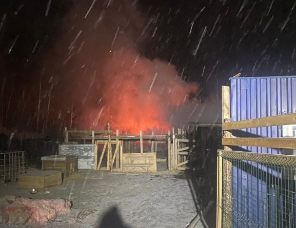 «Погибла половина животных»: пожар уничтожил питомник под Екатеринбургом