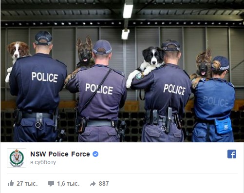 Австралийские полицейские рассказывают о своих буднях в соцсетях