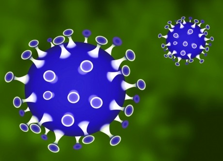 Назван регион, лучше всего справляющийся с коронавирусом