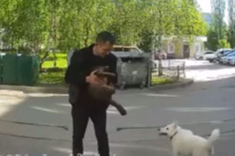 Житель Нижнего Новгорода натравил собаку на кота и избил животное до смерти | Нижегородский живодёр убил укусившего его кота на глазах у детей