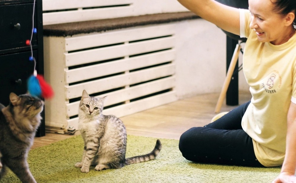 Виды передержки для ваших любимцев