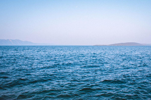 Тела 40 человек достали из воды после крушения самолета в США  | CBS: спасатели нашли тела 40 погибших после крушения самолета в США