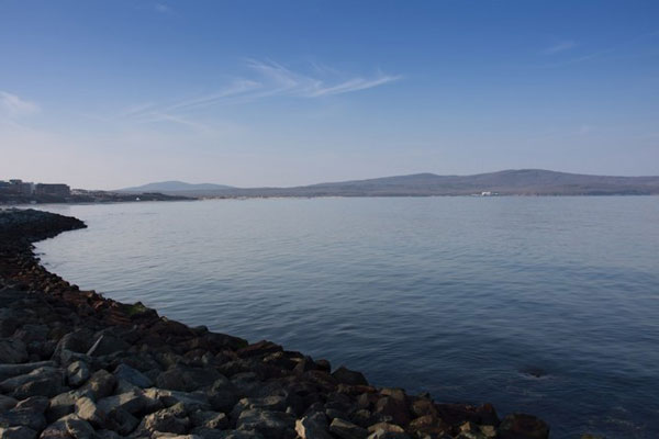 Сенсация на берегу США: выброшена редкая рыба-луна длиной 2,2 метра | На берег в США выбросило двухметровую редкую рыбу-луну