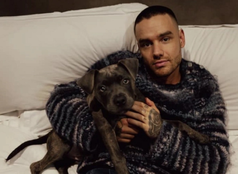 Разбился, упав с балкона: умер экс-солист группы One Direction Лиам Пейн | Бывший солист One Direction Лиам Пейн разбился, упав с балкона третьего этажа