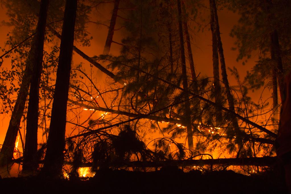 "Это не ночь, а день": из-за лесных пожаров озеро Байкал затянуло плотным дымом