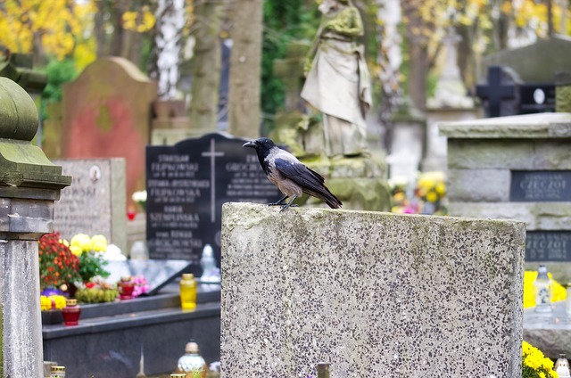 Мужчину нашли живым на кладбище через четыре месяца после его похорон