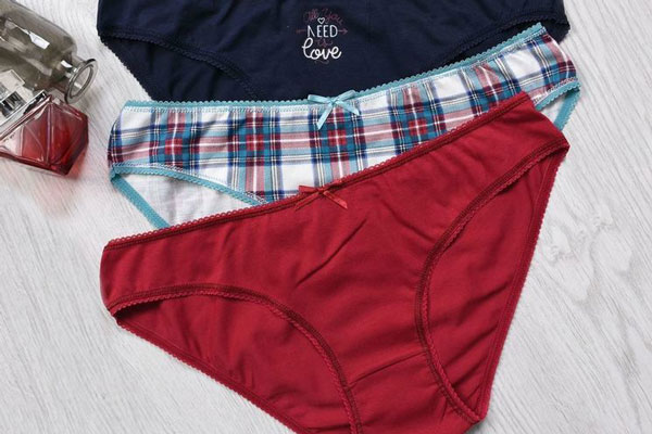 У россиянина из квартиры выкрали женские трусы на 500 тысяч рублей