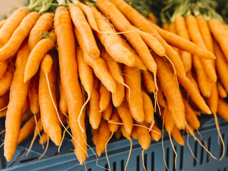 Учёные назвали овощ, снижающий риск возникновение некоторых видов рака