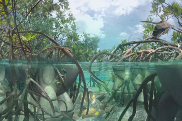 Жизнь на Земле могла существовать с самого начала