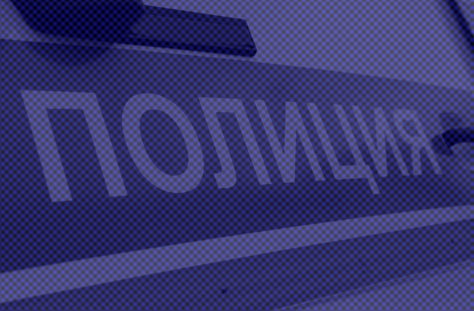 В Ленинградской области женщина нашла мумию у входа в дом