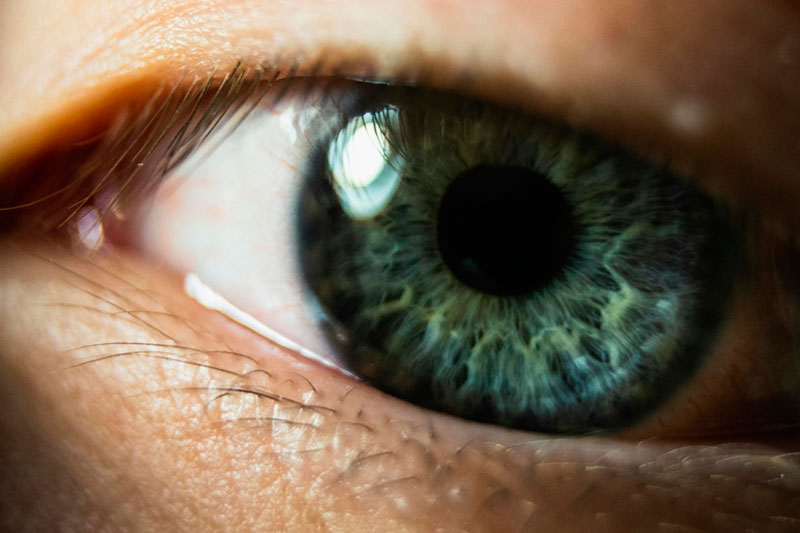 Офтальмолог рассказал о простом способе избежать близорукости | Офтальмолог Светлаков: прогулки на свежем воздухе являются профилактикой миопии