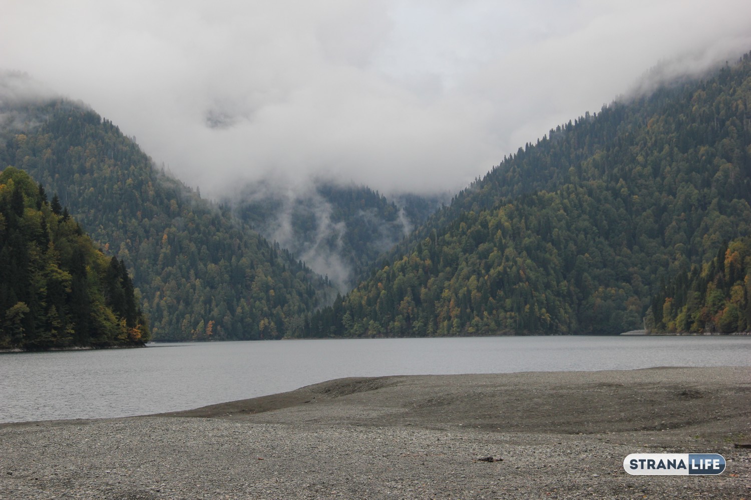 Не дорожат своей жемчужиной: почему озеро Рица, к которому едут туристы со всей России, может вас огорчить?