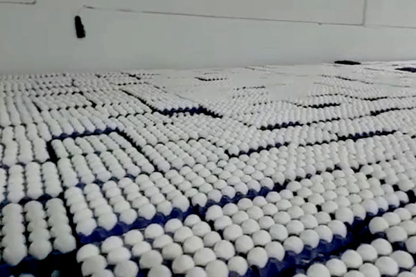 Поставщики показали яйца партнеров из Турции