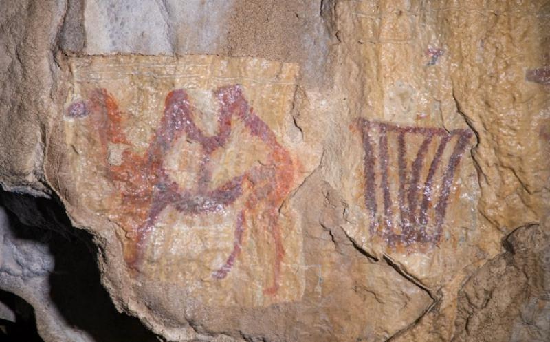 Каповая пещера Башкортостана внесена в список всемирного наследия ЮНЕСКО | Российская пещера с древними рисунками вошла в список ЮНЕСКО