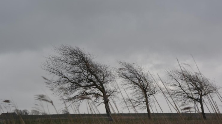 Ветер 15 м/с и гроза: москвичей предупредили о неблагоприятных погодных условиях | В Москве объявили штормовое предупреждение из-за дождей и ветра  