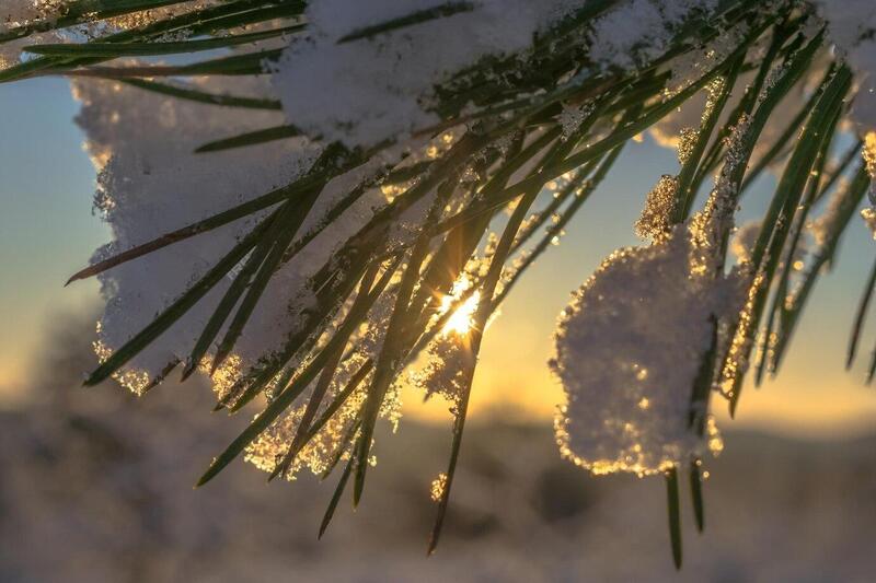 Афанасьев день: приметы, запреты и церковные праздники 6 ноября | Афанасьев день: как провести 6 ноября, чтобы избежать неудач
