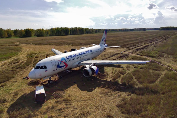 Посадивший самолет в поле пилот «Уральских авиалиний» стал таксистом | Посадивший самолёт в поле под Новосибирском второй пилот стал таксистом