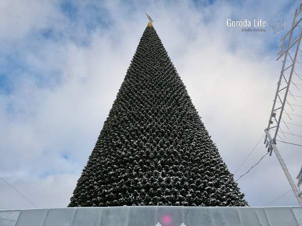 Главная ёлка Петербурга лишилась звезды из-за непогоды  | В Петербурге из-за ветра с главной ёлки сняли звезду 