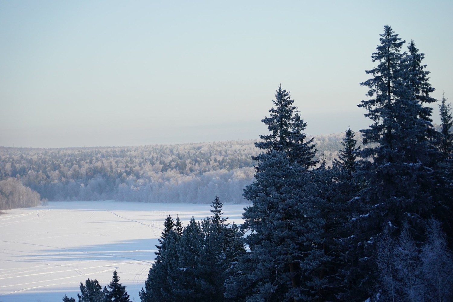 Проверка на прочность для свердловского губернатора: май