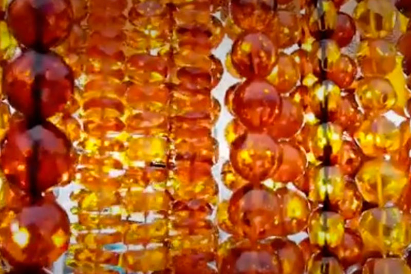 Уникальное открытие: немецкие биологи нашли яйцо бабочки в янтаре под Калининградом – «Это новый род и вид!» | В российском регионе впервые нашли бабочку в янтаре