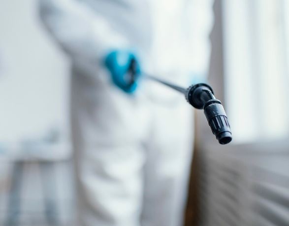 Бактерия убийца: стрептококк группы А вызывает эпидемию смертоносного синдрома в Японии | Смертельная инфекция стремительно распространяется в Японии