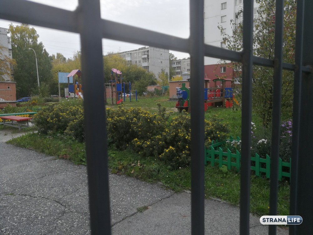 Добровольный зоопарк. Почему люди сознательно идут на то, чему звери противятся до последнего?