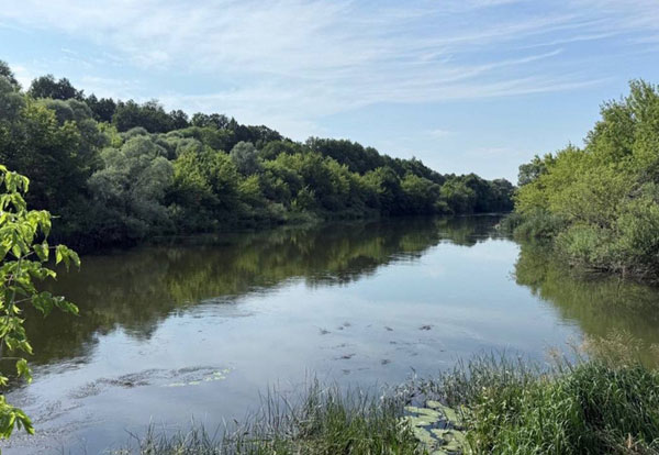Мать десяти детей погибла в Мордовии, спасая тонущую дочь | Мать 10 детей и её старшая дочь утонули в Мордовии, спасая 13-летнюю девочку