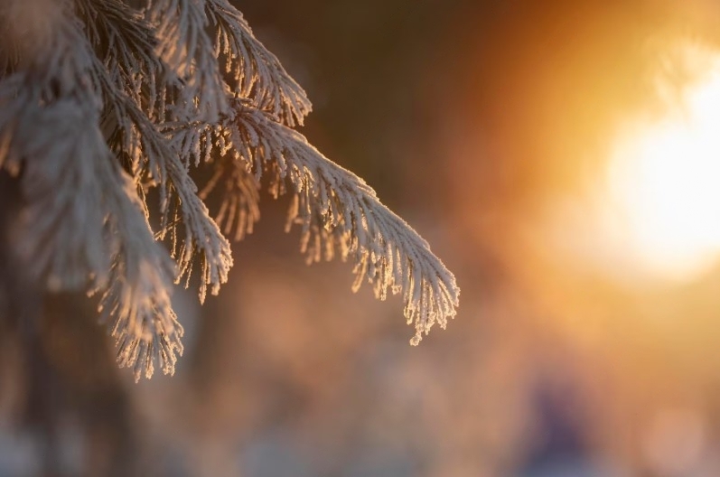 Новый год наступил — астрономы рассказали, к чему нужно приготовиться землянам  | Стало известно, что ждёт Землю в первые дни 2025 года 