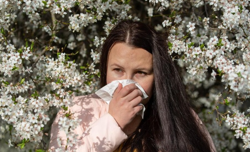 Врач назвала опасные для сезонных аллергиков продукты и растения | Три волны пыльцевой атаки: когда ждать обострения поллиноза