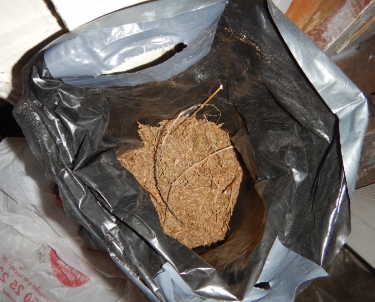 В Томской области задержан мужчина по подозрению в незаконном хранении наркотических средств