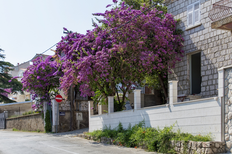 Во сколько обойдётся хорватский шенген