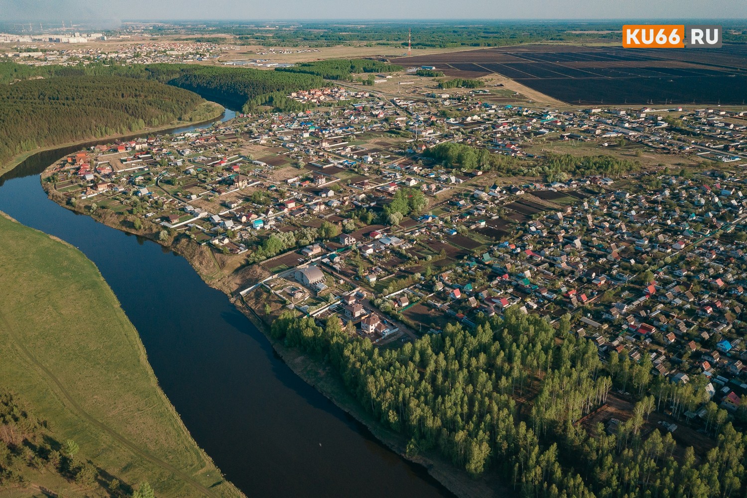 В Госдуме напомнили, что безалаберных дачников будут карать за разросшийся на участке борщевик | Депутат предупреждает о штрафах за борщевик: как избежать неприятностей на даче