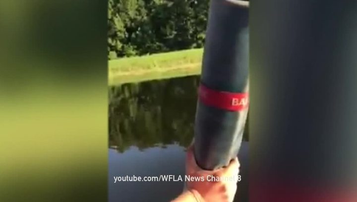 Воздушный шар с людьми упал в пруд с аллигаторами