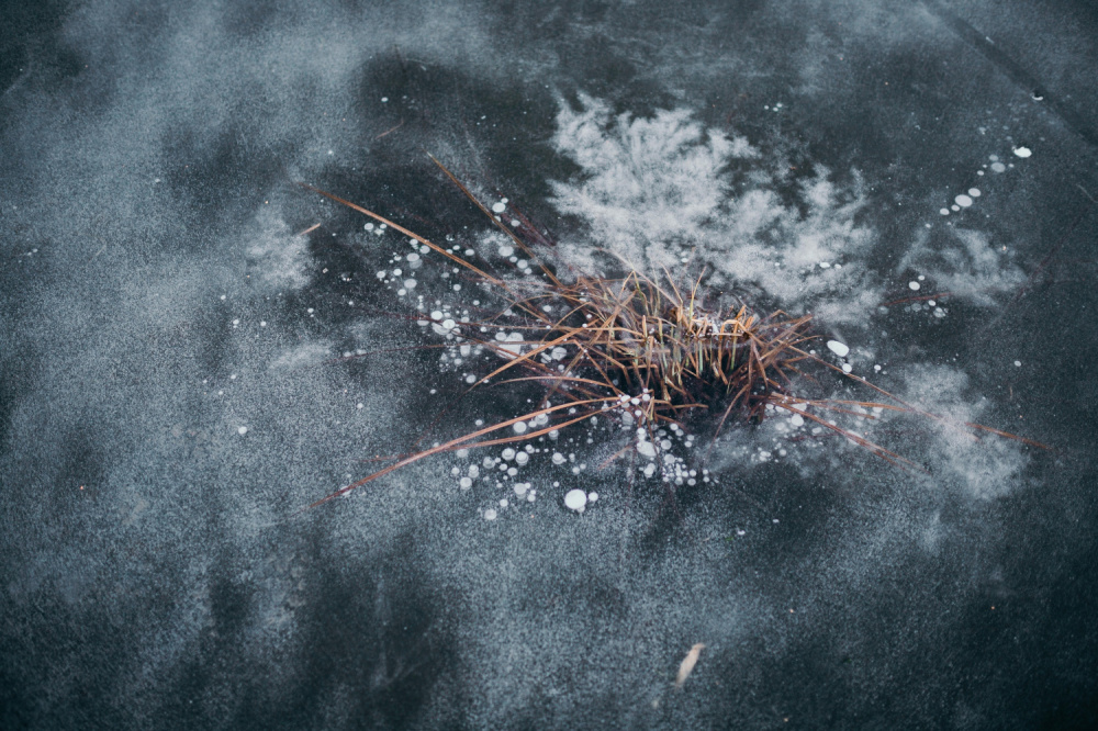 Что можно и нельзя делать 19 ноября: традиции Павла Ледостава | Павел Ледостав, День ракетных войск и другие праздники 19 ноября