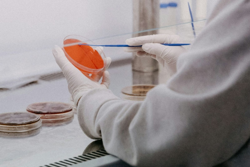 Учёные нашли антитело против всех штаммов коронавируса: новый прорыв в борьбе с пандемией | Учёные нашли антитело против всех штаммов коронавируса