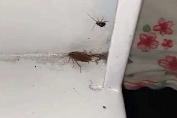 «У меня сложилось впечатление, что я побывала в аду, я не спала три ночи»