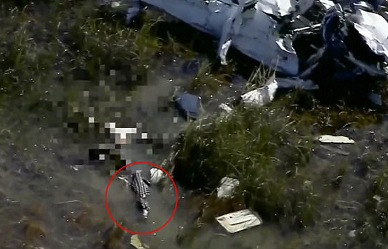 Пилота самолёта, разбившегося во Флориде, съел аллигатор