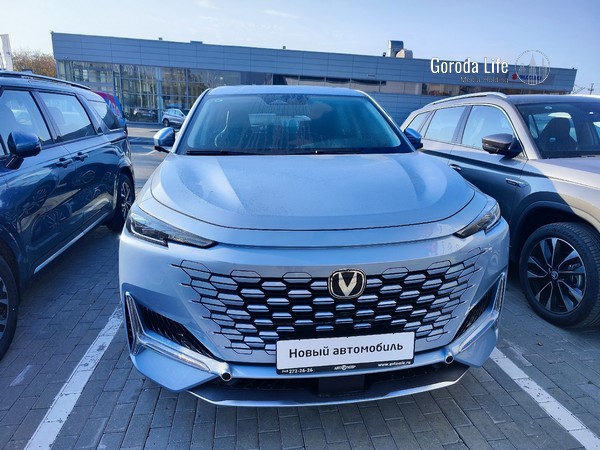 В Сибири у владельцев китайских авто возникли проблемы с запуском в морозы | Китайские автомобили не заводятся в морозы из-за промерзания глушителя