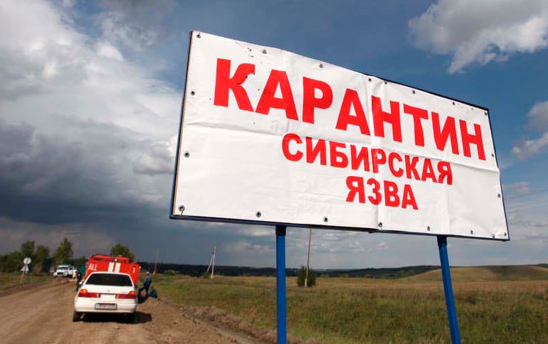 В Минздраве заявили о локализации очагов сибирской язвы в России