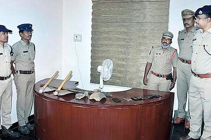 Сотни кладоискателей начали раскопки после слухов о сокровищах