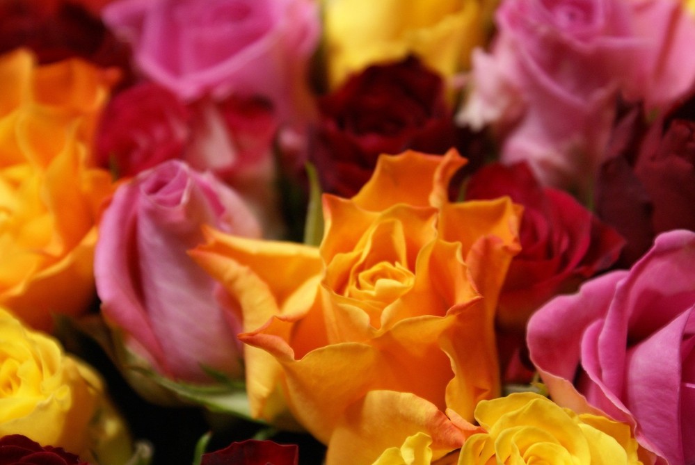 Модные букеты цветов для дома