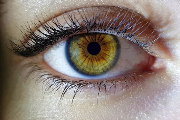 Профессор терапии раскрыл секреты сохранения зрения: читать в транспорте, стрессы и другие опасности | Факторы, влияющие на зрение: профессор рассказал о вредных привычках и методах профилактики