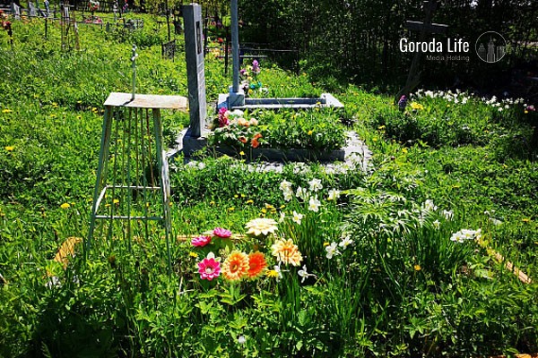 Михаил Мурашко: Смертность в России достигла исторического минимума благодаря клиническим стандартам | Мурашко: Общая смертность в России достигла исторического минимума