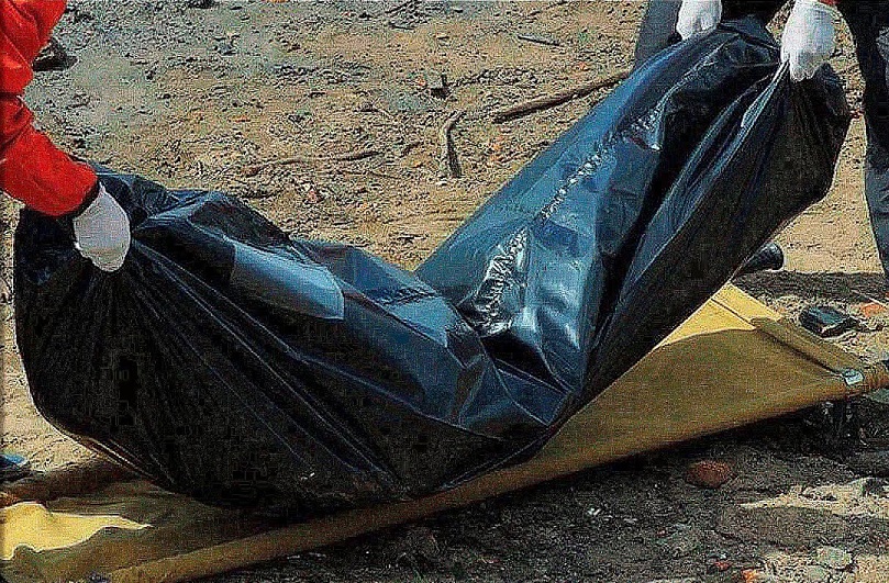 Трупы людей вывозили из зоопарка. Бешеный верблюд вырвался из клетки и поубивал посетителей