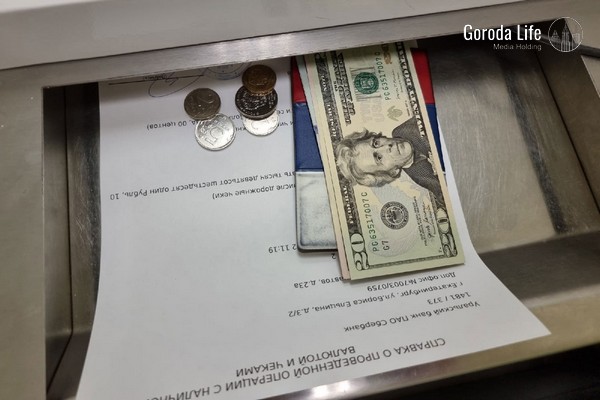 «106 рублей за доллар»: экономист раскрыла последствия введения Трампом пошлин | Экономист сказала, что при введении Трампом пошлин доллар вырастет до 106 рублей