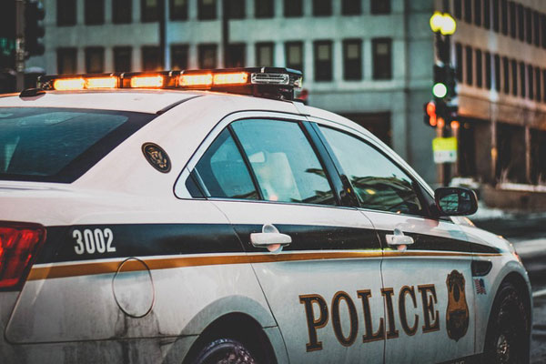 Мужчина поверил в теорию заговора и расправился с детьми из-за их змеиной ДНК | В США мужчина убил своих детей подводным ружьем из-за их змеиной ДНК