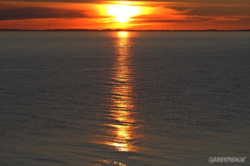 Минприроды Карелии наконец-то заметило незаконную стройку в природном парке на Валааме