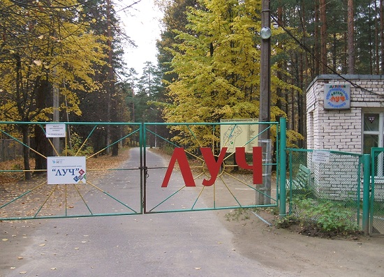 Детям разрешили отдыхать летом только в своих регионах