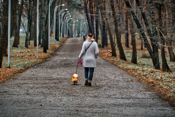 Ученые выяснили, что проживание вблизи скверов снижает риск деменции | Ученые назвали пользу от прогулок в скверах