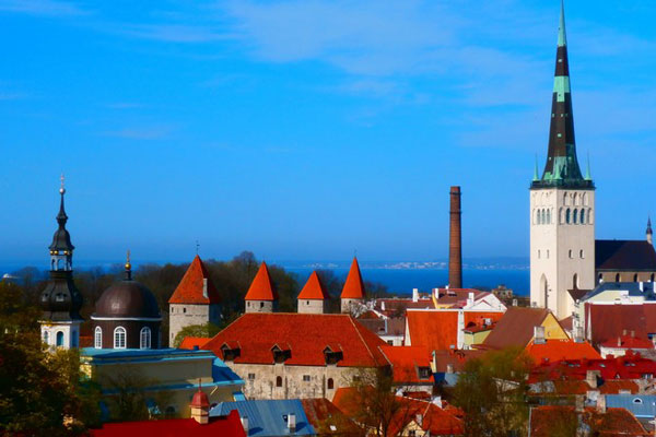 Эстония узаконила однополые браки, изменения вступят в силу с 2024 года